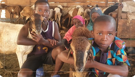 Kurban Proje Organizasyonu