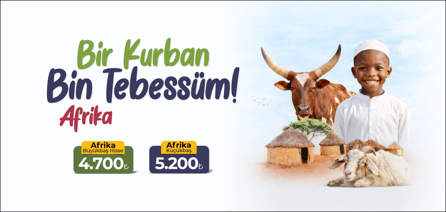 Vacip Kurban Proje Organizasyonu